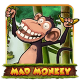 Mad Monkey H5™